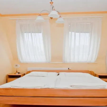 Belvarosi Panzio 3* Debreţin